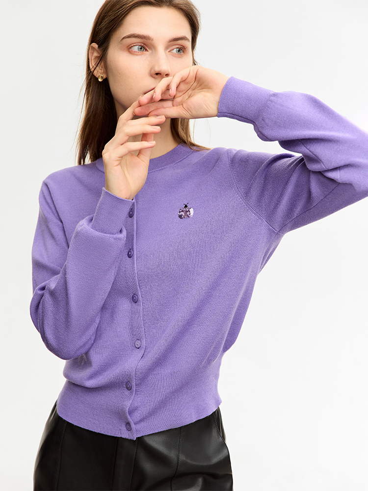 AMII ミニマリストウールセーター レディース 秋新作 2 - Embroidery Lady Bug のレビューと価格